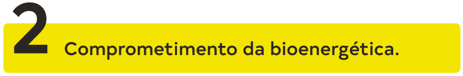 falta de coenzima comprometimento bioenergética